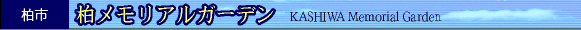 AK[f